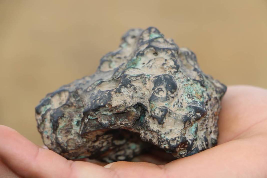 Tarladan biber toplarken köşeyi döndü! Öyle bir şey buldu ki milyoner oldu, tarla sahipleri fellik fellik bunu arıyor 1